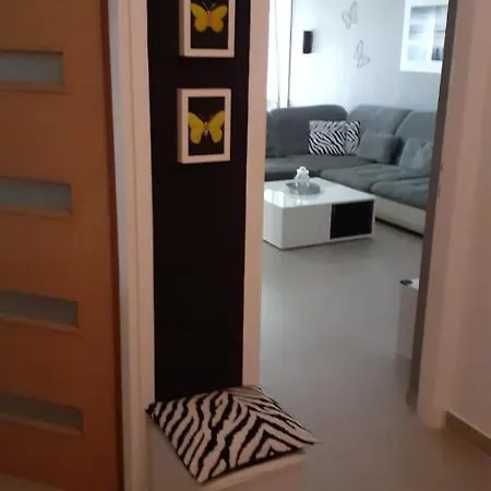 Apartment Spark